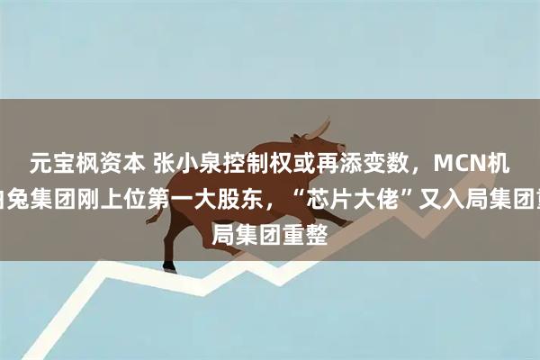元宝枫资本 张小泉控制权或再添变数，MCN机构白兔集团刚上位第一大股东，“芯片大佬”又入局集团重整