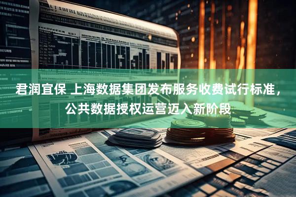 君润宜保 上海数据集团发布服务收费试行标准，公共数据授权运营迈入新阶段